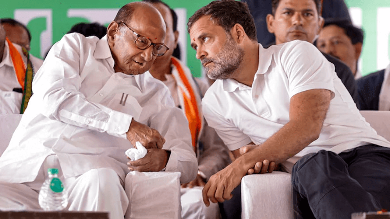 महाराष्ट्र पॉलिटिक्स: लोकसभा चुनाव के बीच शरद पवार बोले, ‘राहुल गांधी को लोग…’
